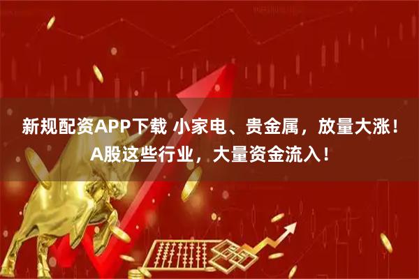 新规配资APP下载 小家电、贵金属，放量大涨！A股这些行业，大量资金流入！